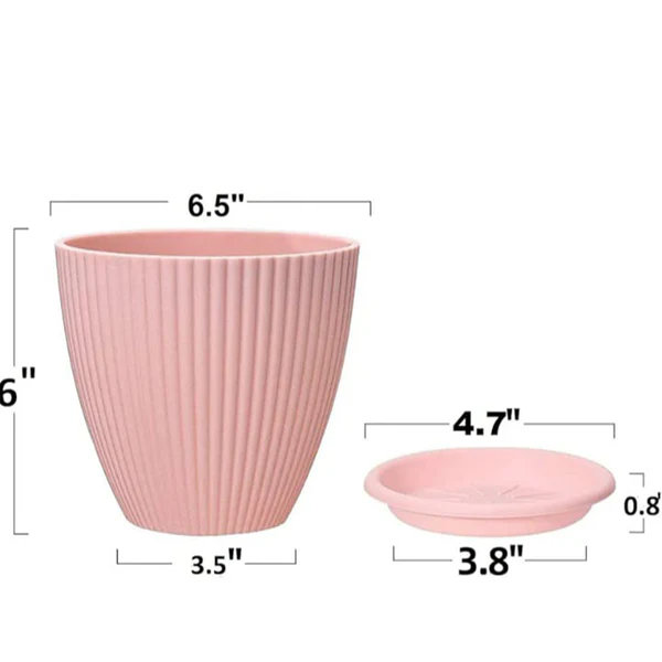 Premium 5-Piece Flower Pot Set with Matching Trays - Image 3